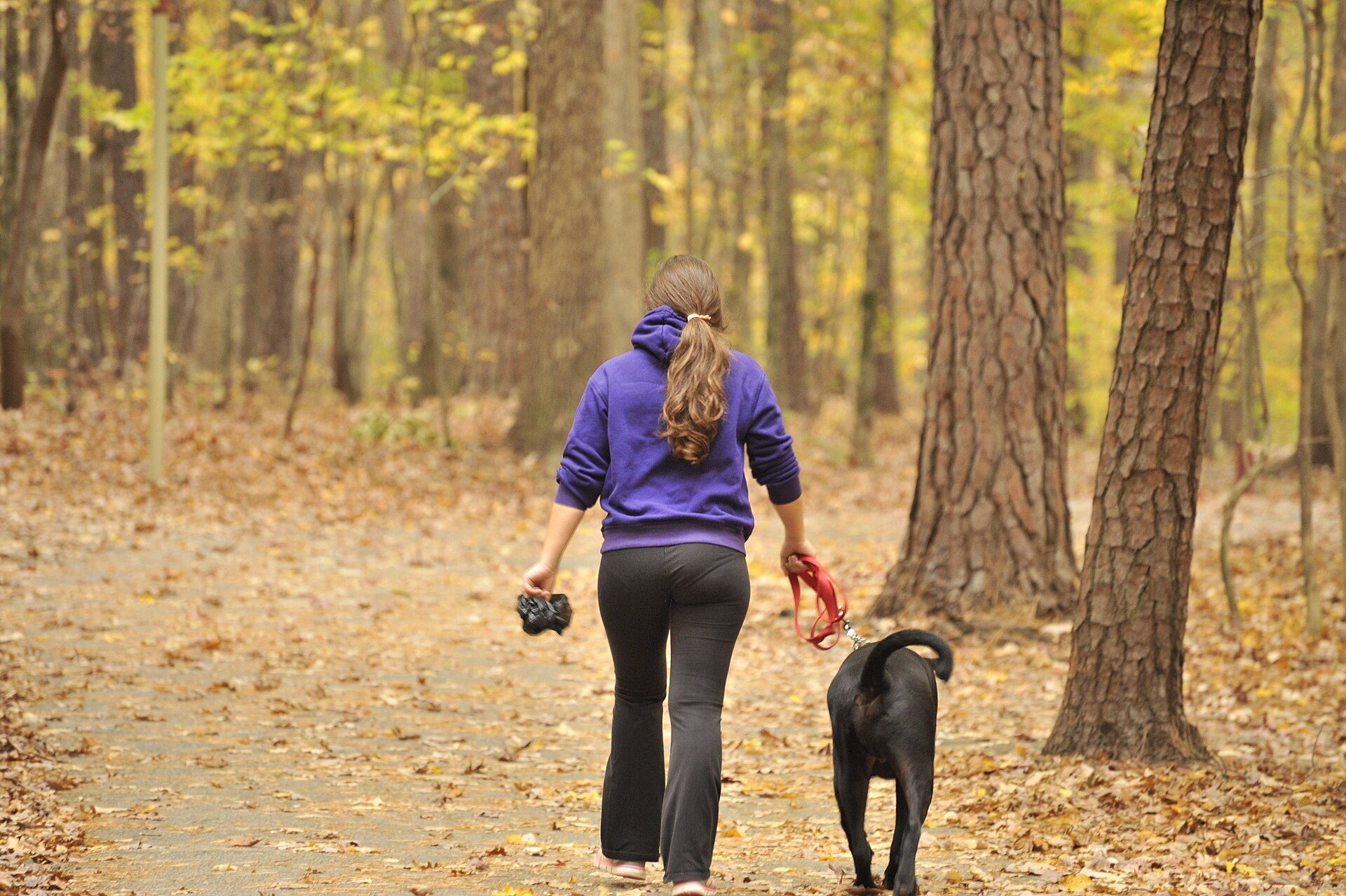 A walker and her dog on the Lake Johnson boardwalk